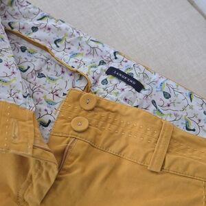 Lands' End Golden Trousers with Patterned Lining